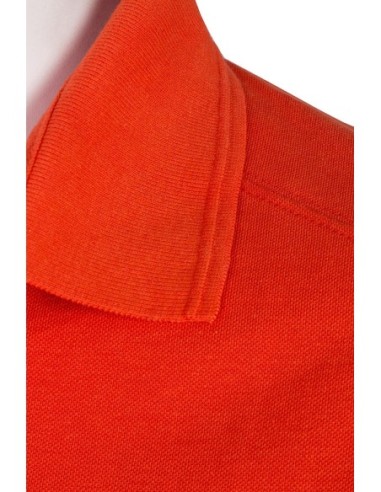 Apex Polo Shirt15