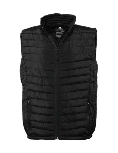 Zepelin Vest0