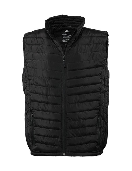 Zepelin Vest0