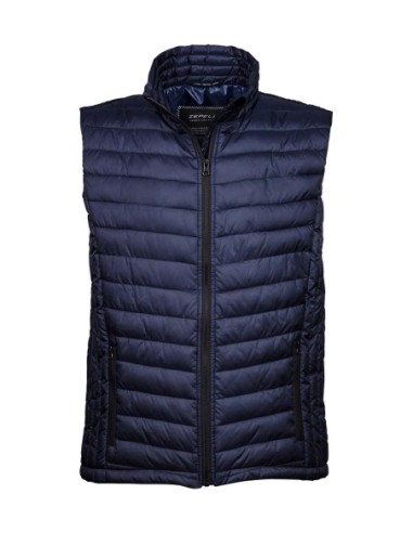 Zepelin Vest1
