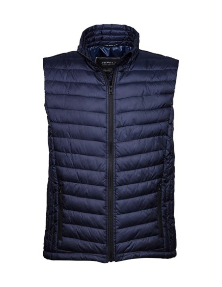 Zepelin Vest1