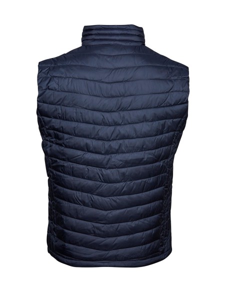 Zepelin Vest4