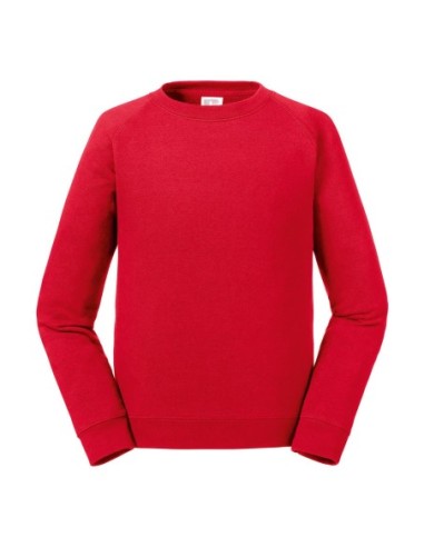Kids Authentic Raglan Sweat3