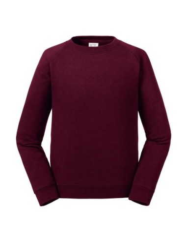 Kids Authentic Raglan Sweat4