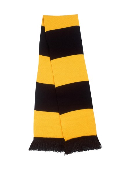 Team Scarf2