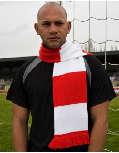 Team Scarf10