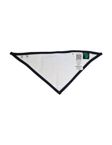 Bandana Bib1