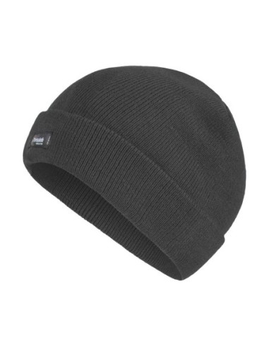 Thinsulate Acrylic Hat1
