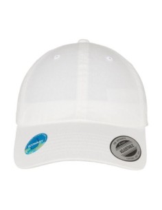 Ecowash Dad Cap4 2