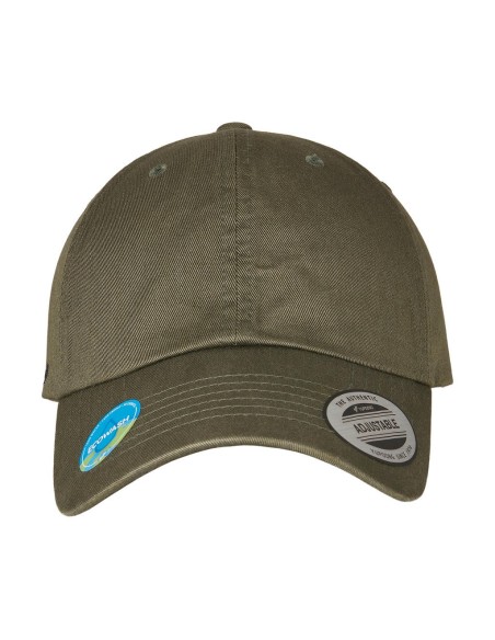 Ecowash Dad Cap3