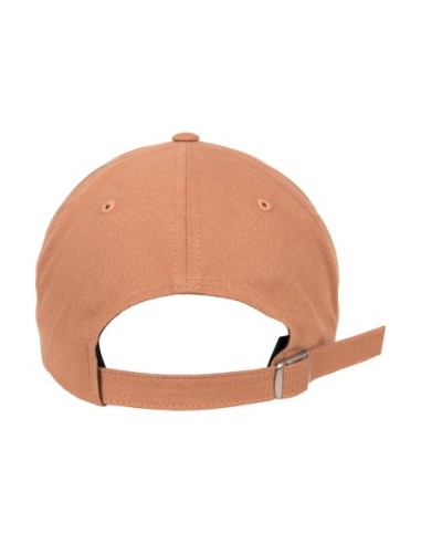 6-Panel Curved Metal Snap6