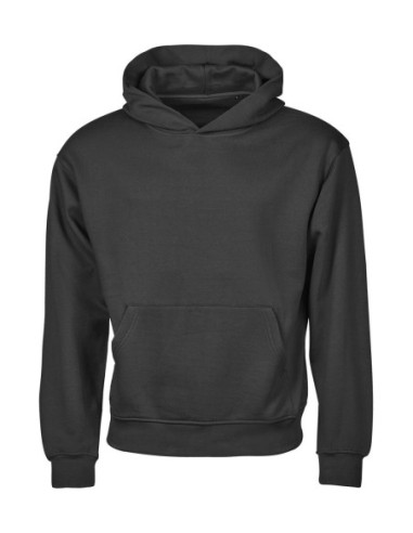 Urban Heavy Loose Fit Hooded Sweatshirt0