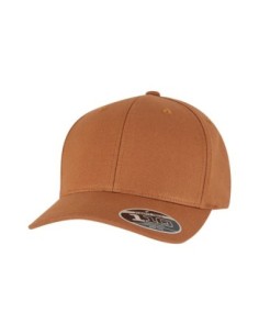 Flexfit 110 Curved Snapback0