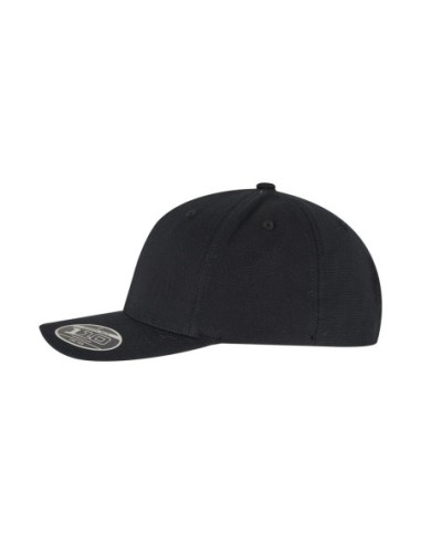 Flexfit 110 Curved Snapback6