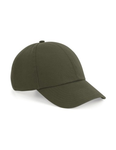 Organic Cotton 6 Panel Cap4